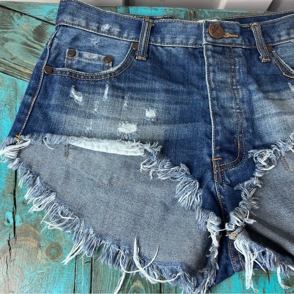 One Teaspoon Rollers Low Waist Long Rise Festival Shorts Size 26 - Picture 5 of 13